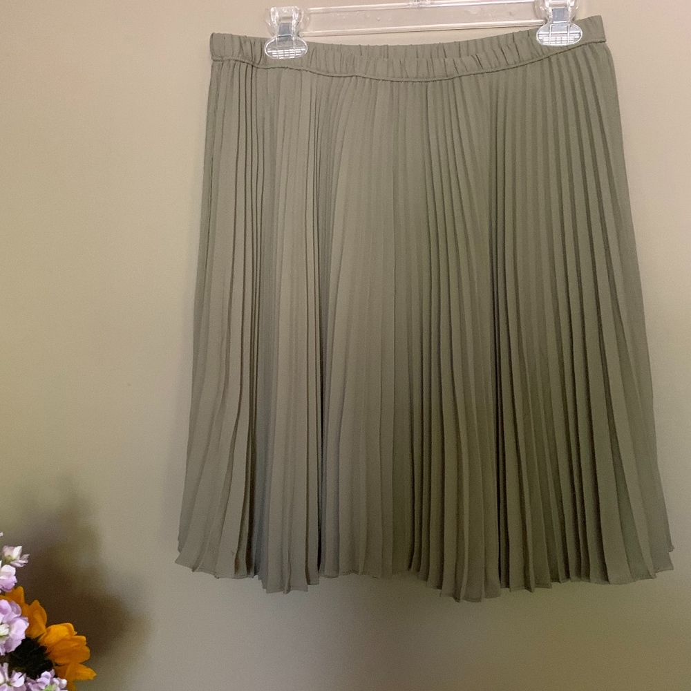 Banana Republic Pleated Skirt